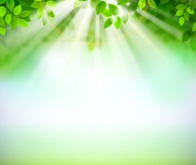 Sunlight with green leaves shiny background vector 03