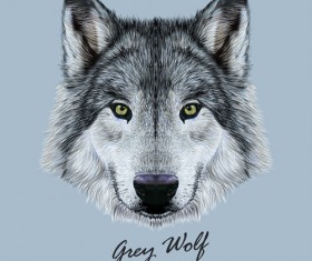 Vivid dog face background vector 01