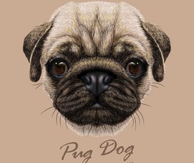 Vivid dog face background vector 02