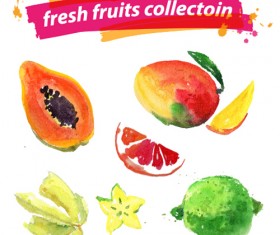 Watercolor fresh fruits set 03 vector