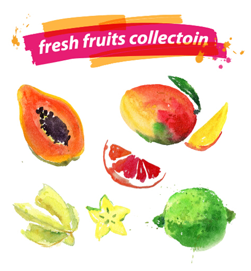 Watercolor fresh fruits set 03 vector