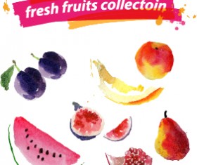Watercolor fresh fruits set 04 vector