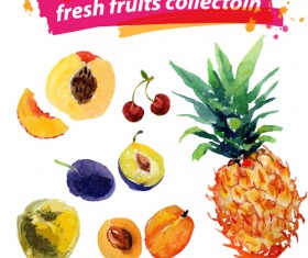 Watercolor fresh fruits set 05 vector