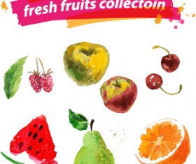 Watercolor fresh fruits set 06 vector