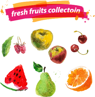 Watercolor fresh fruits set 06 vector