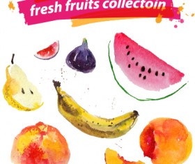 Watercolor fresh fruits set 07 vector