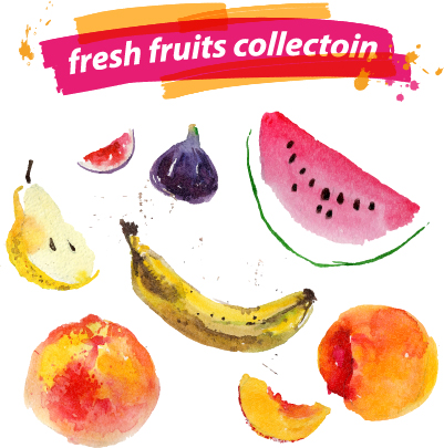 Watercolor fresh fruits set 07 vector