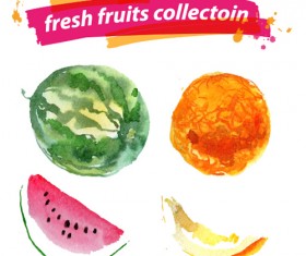 Watercolor fresh fruits set 08 vector