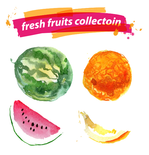 Watercolor fresh fruits set 08 vector