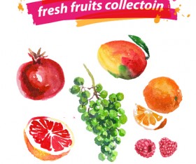 Watercolor fresh fruits set 09 vector