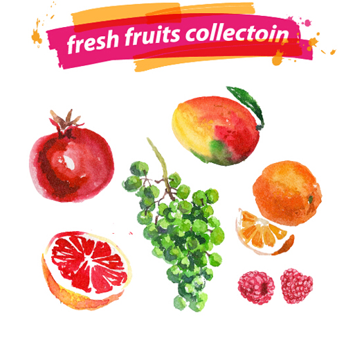 Watercolor fresh fruits set 09 vector