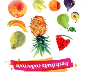 Watercolor fresh fruits set 10 vector