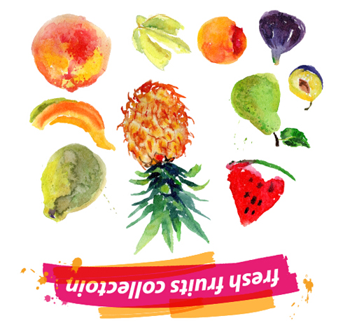 Watercolor fresh fruits set 10 vector
