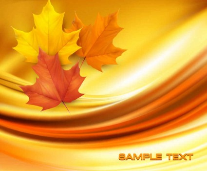 Beautiful maple leaf background vector set 01