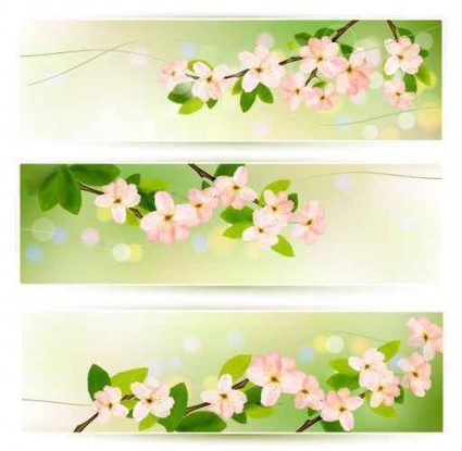 Flower green banners vectors