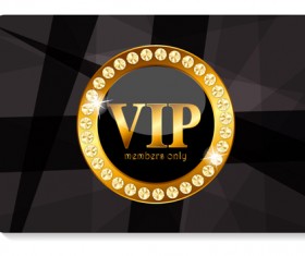 luxurious VIP members cards design vectors 03