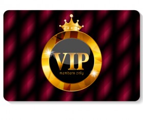 luxurious VIP members cards design vectors 05