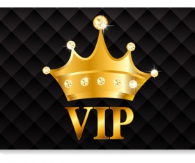 luxurious VIP members cards design vectors 08