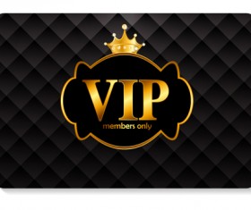 luxurious VIP members cards design vectors 12