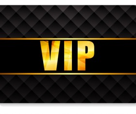 luxurious VIP members cards design vectors 13