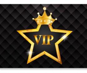 luxurious VIP members cards design vectors 14