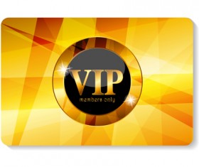 luxurious VIP members cards design vectors 22