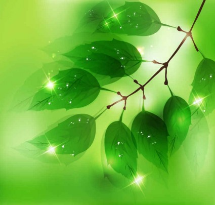 Nature background with fresh green leaves vectors
