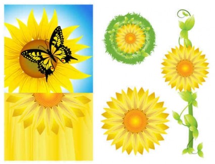 Sunflower background graphics set vector