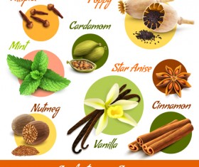 Different spices explain vector material