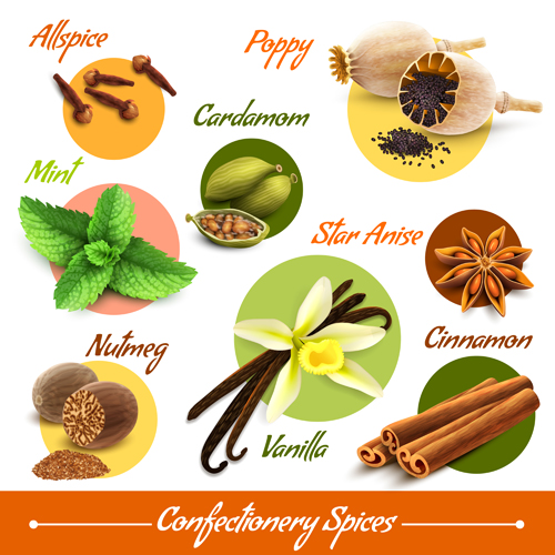 Different spices explain vector material