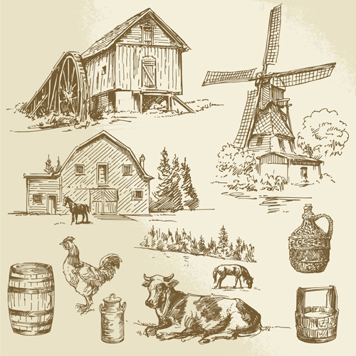 Farm and poultry hand drawn vector 03