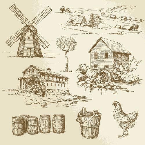 Farm and poultry hand drawn vector 05