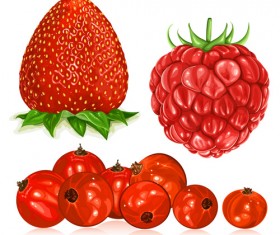 Fresh ripe summer berries shiny vector 01