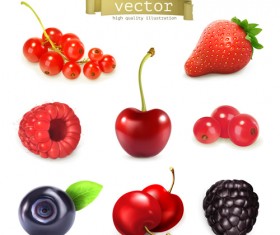 Fresh ripe summer berries shiny vector 02