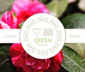 Labels with flower blurs background vector 01