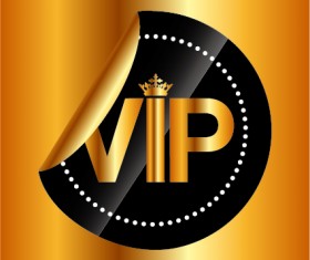 Luxury golden VIP background vectors 01