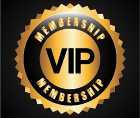 Luxury golden VIP background vectors 22