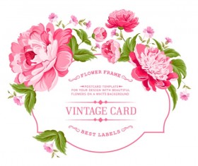 Pink peony frame vintage card vector