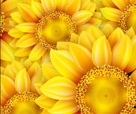 Realistic sunflowers vector seamless pattern 01
