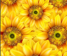 Realistic sunflowers vector seamless pattern 02