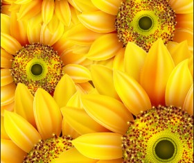 Realistic sunflowers vector seamless pattern 03