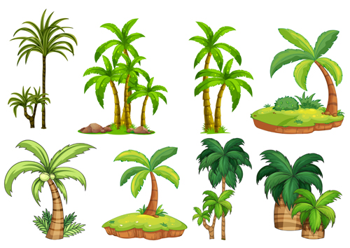 Sea islands palm tree vector material 03