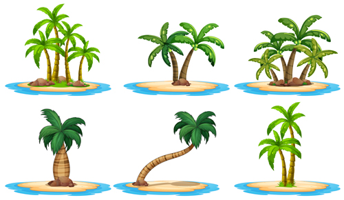 Sea islands palm tree vector material 04