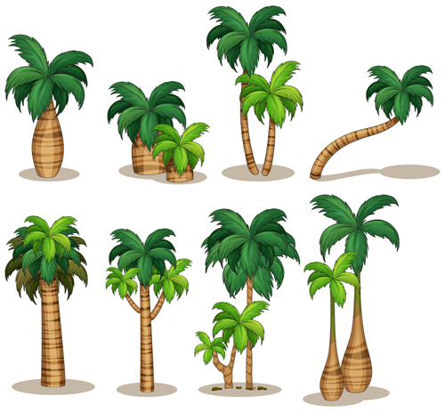 Sea islands palm tree vector material 05