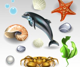 Shining seashells design vector set 01