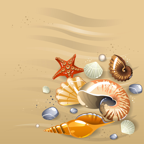 Shining seashells design vector set 02