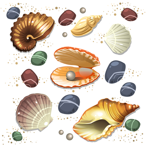 Shining seashells design vector set 04