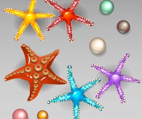 Starfish with pearls shiny vector