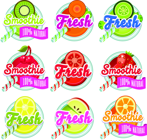 Sunner fruits drinks fresh labels vector