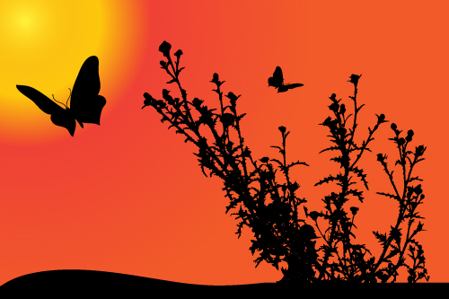 Sunset with butterfly silhouette vector material 05